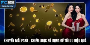 Cẩm Nang - DATIHE