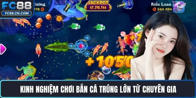 Kinh Nghiệm Chơi Bắn Cá – Bí quyết nâng cao tỷ lệ thắng - DATIHE