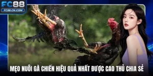 Cẩm Nang - DATIHE