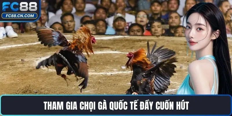Đá Gà GA28 – Trải Nghiệm Chọi Kê Đỉnh Cao Cùng Với FC88 - DATIHE