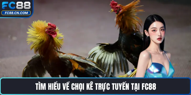 Cẩm Nang Chơi Chọi Gà – Bí Kíp Cược Thắng Lớn Cùng FC88 - DATIHE
